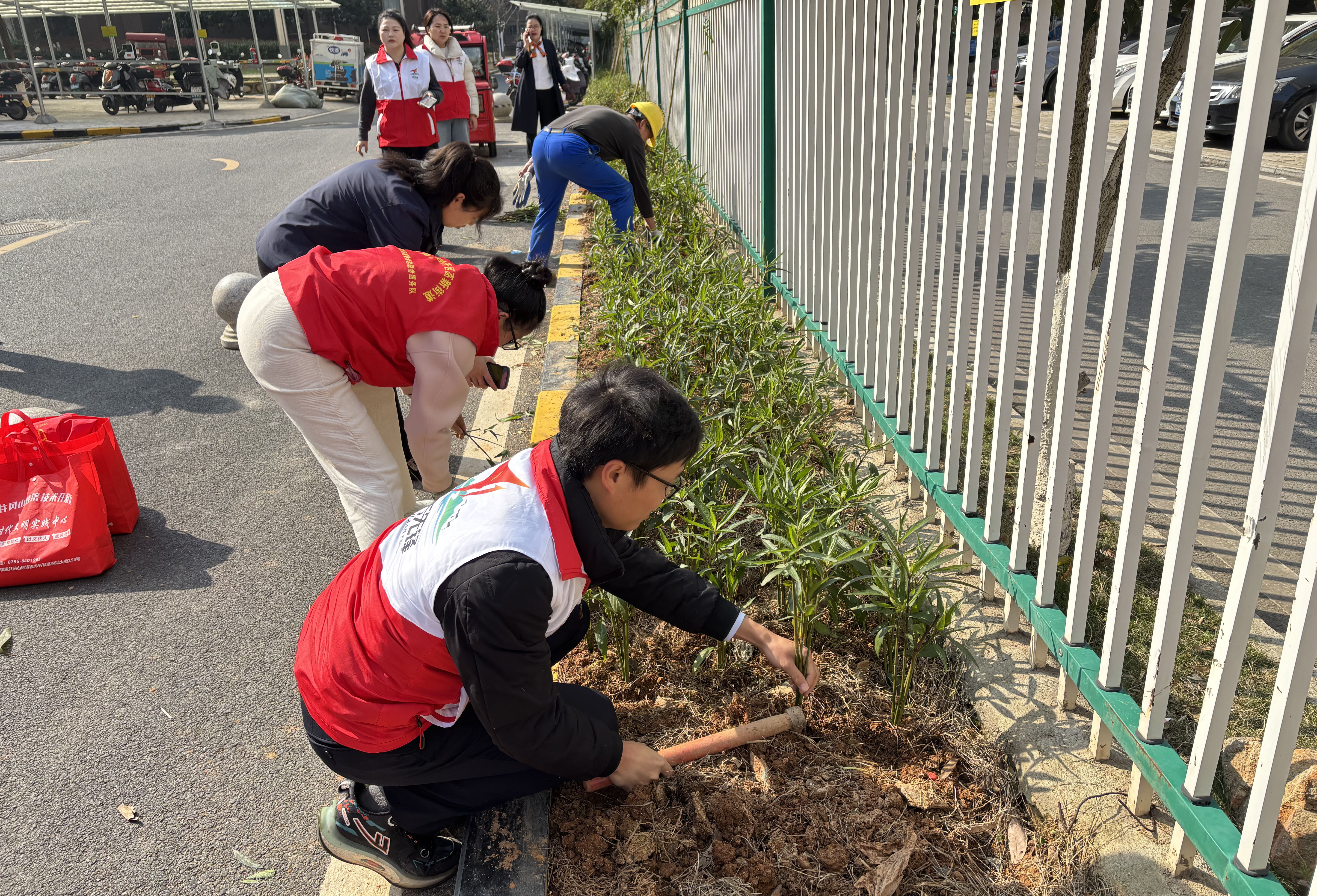 党建共建添新绿 志愿服务践初心——省金融资产公司下属兴庐公司联合长岭社区开展植树节主题活动